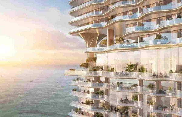 WhatsApp Image 2025-12-19 at 4.06.34 AM